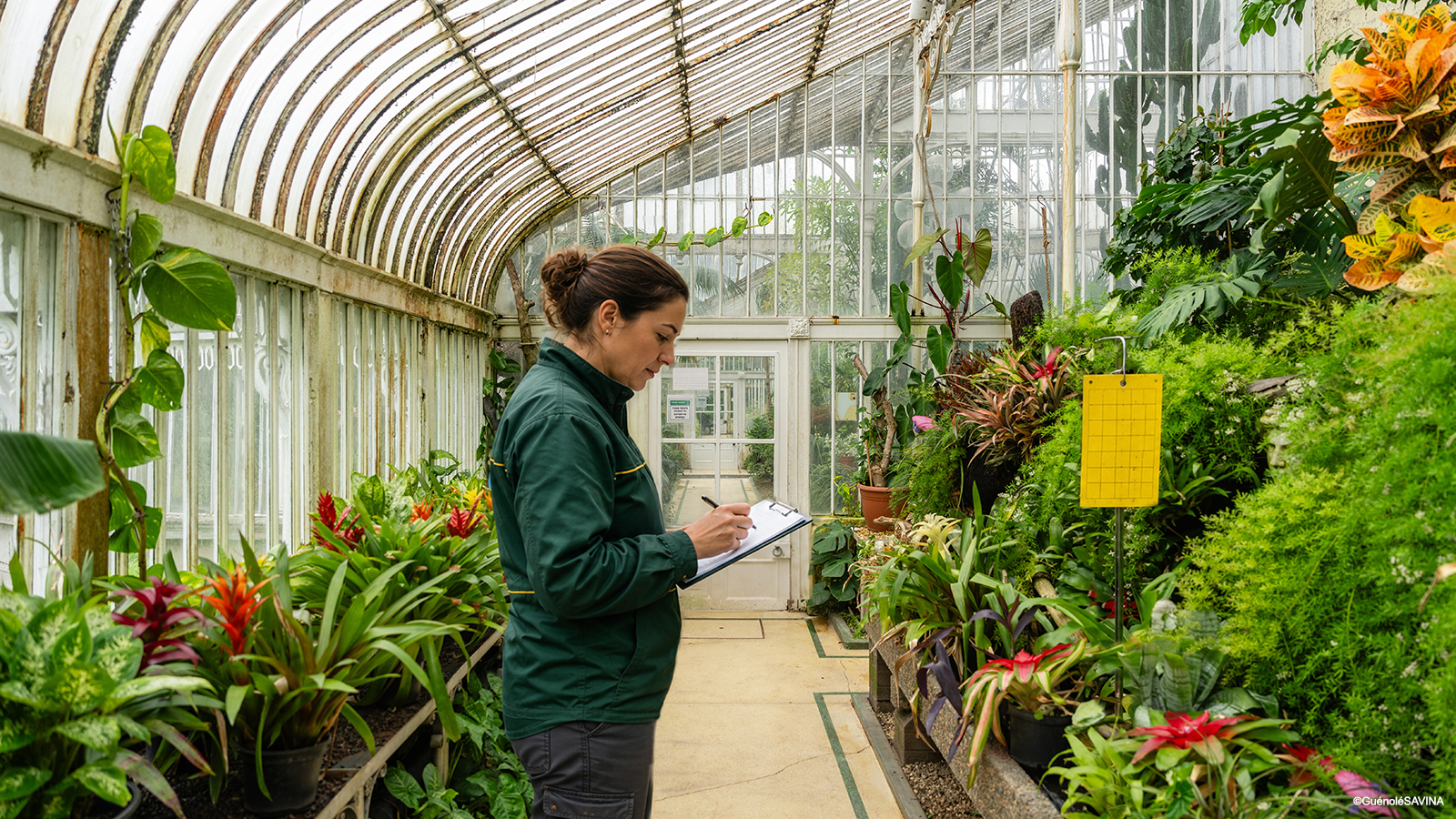 Protection Biologique Intégrée appliquée à un espace précis