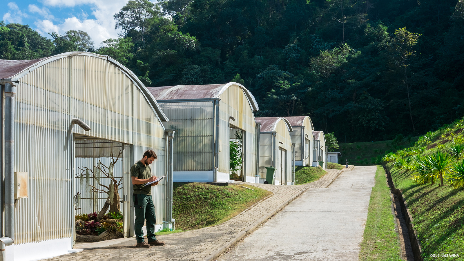 Organisation du travail en pépinière et en production horticole