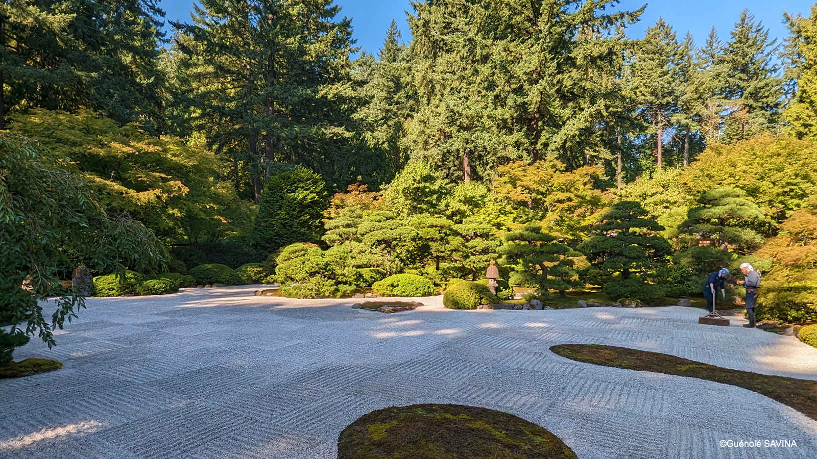 Comprendre les bases des aménagements minéraux dans les jardins japonais